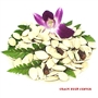 Salted Squash Seed